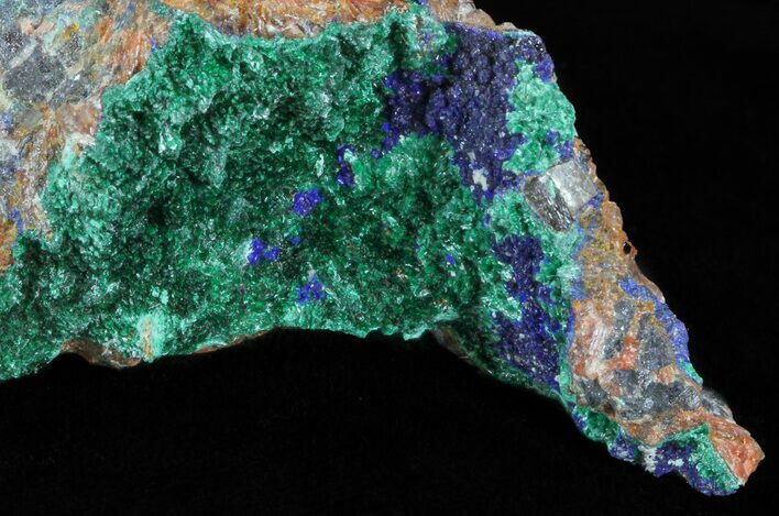 Malachite with Azurite Crystal Specimen - Morocco #60736